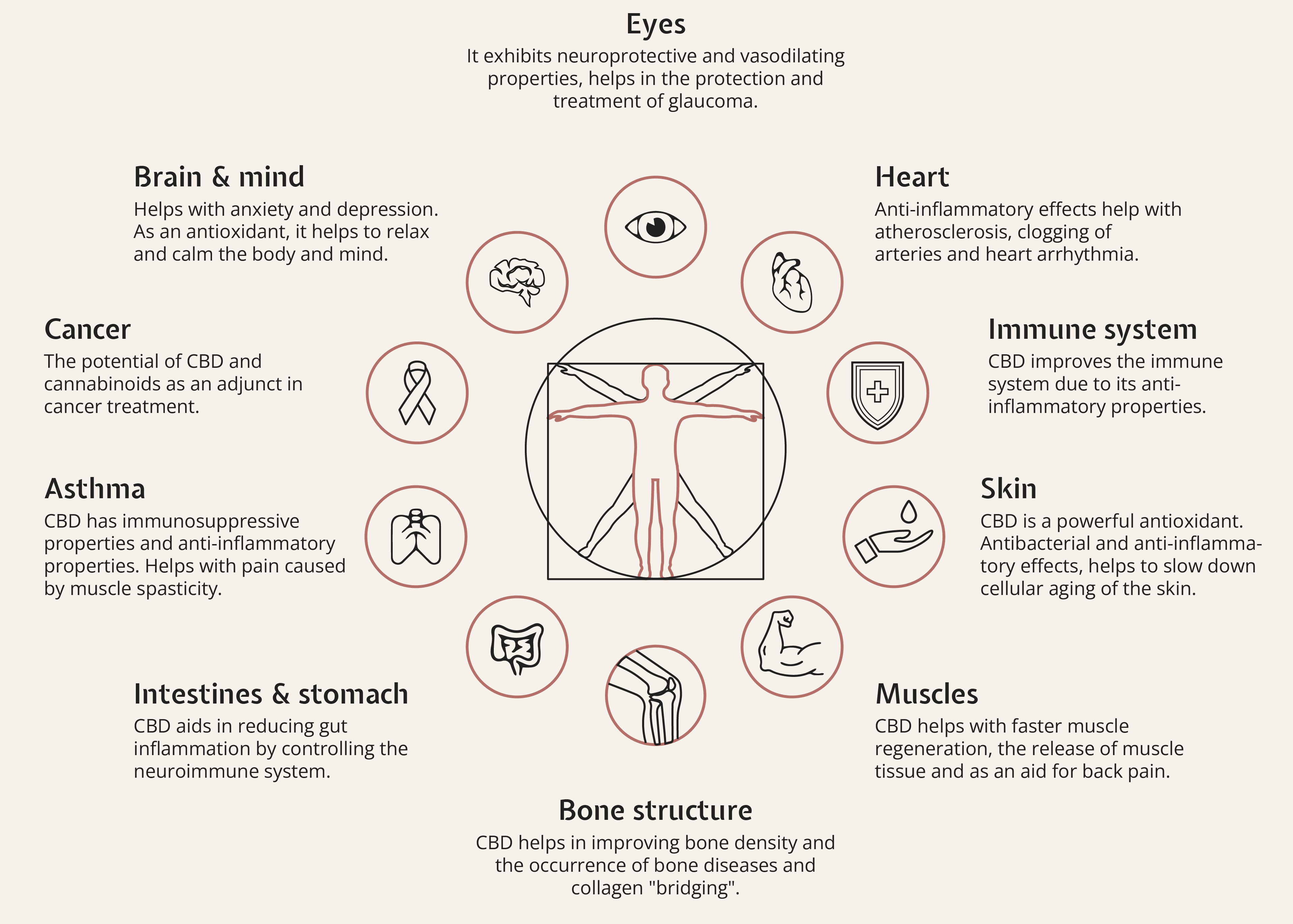 infografika new-10